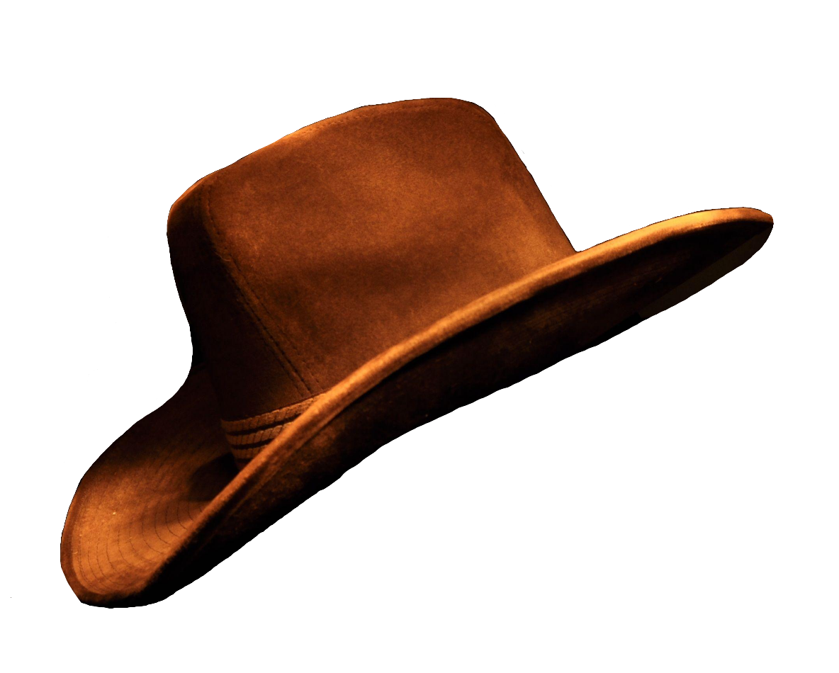 cowboy_hat110