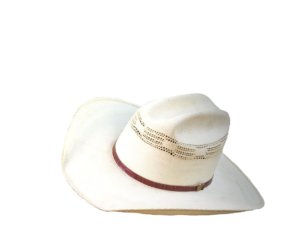 White Cowboy Hat PNG