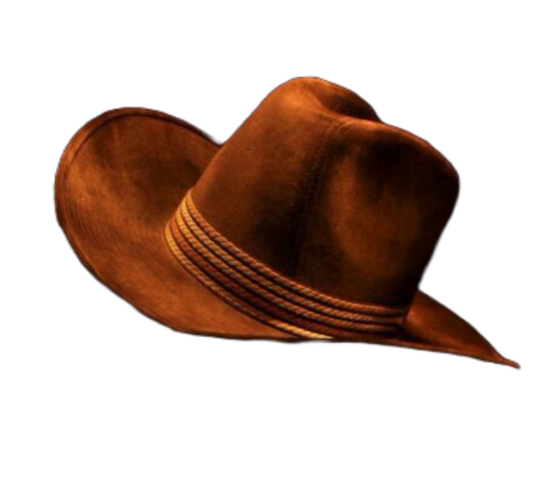Cowboy Hat PNG images free download - Pngfre