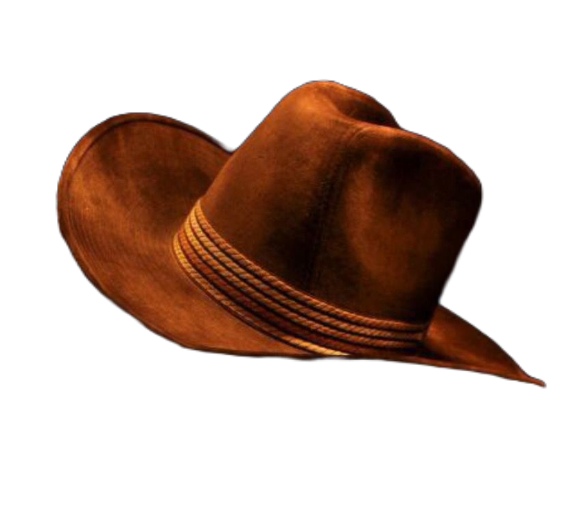 Transparent Cowboy Hat PNG