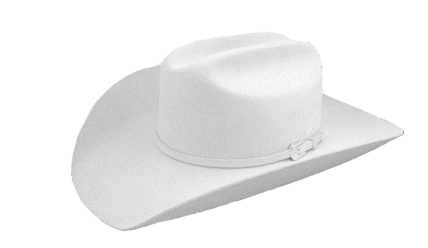 White Cowboy Hat PNG