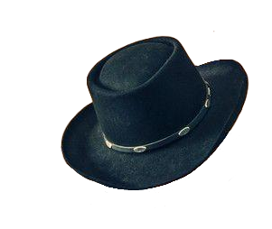 cowboy_hat124