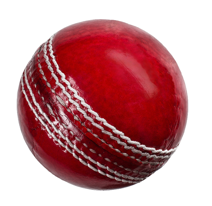 cricket-46