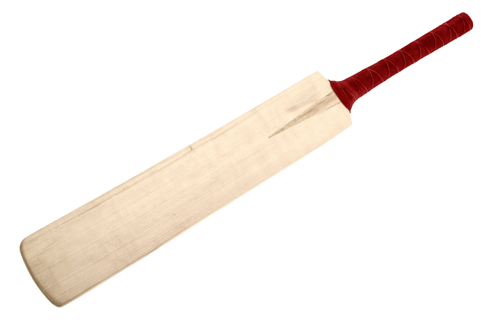 cricket-49