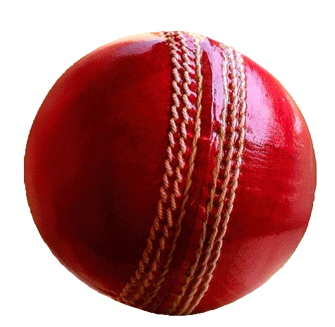 cricket-60