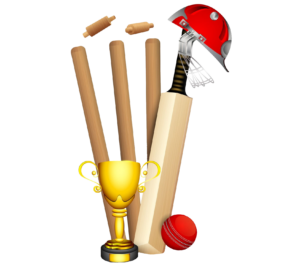 Cricket Elements PNG
