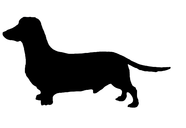 Dachshund Dog Silhouette PNG