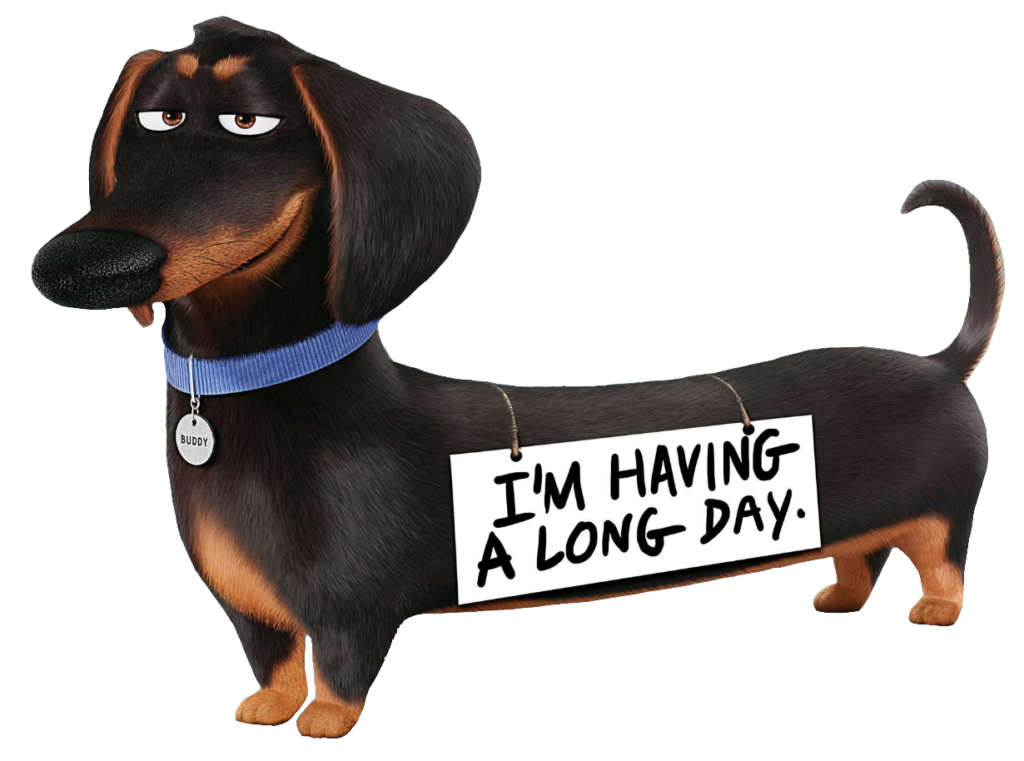 Animated Dachshund Dog PNG
