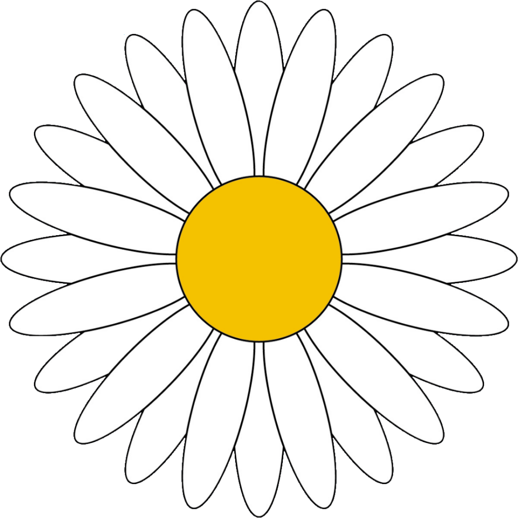 Daisy Flower Sticker PNG