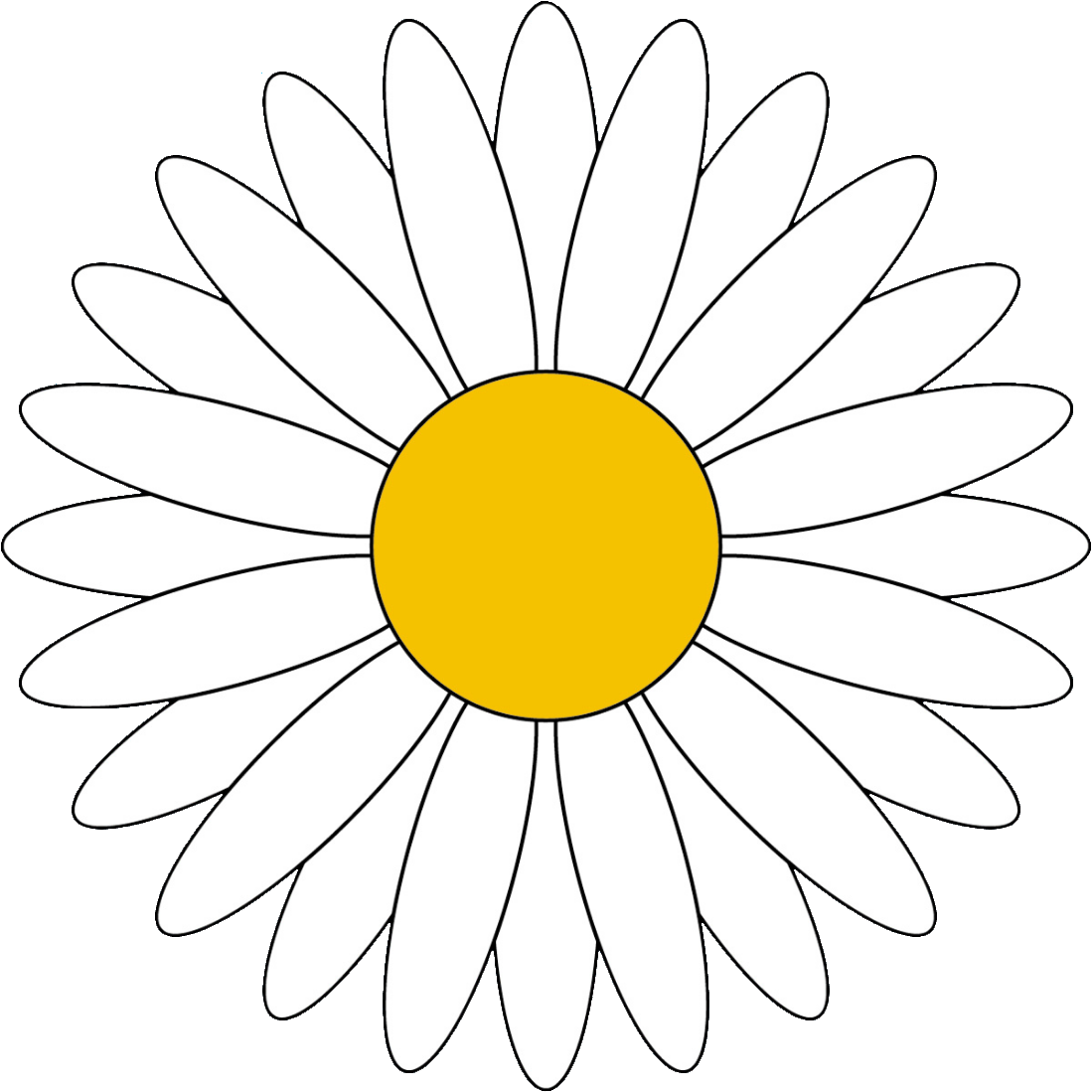 daisy-14