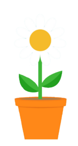 daisy-17