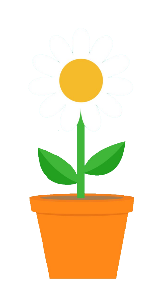 Daisy Flower plant clipart PNG