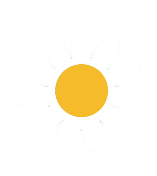 Watercolor Daisy PNG