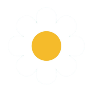 daisy-19