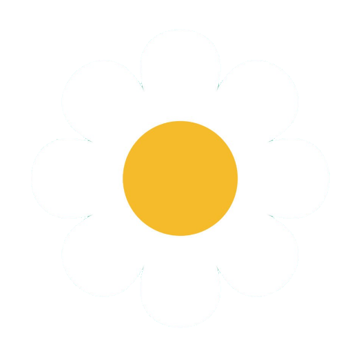 Daisy Flower Clipart PNG