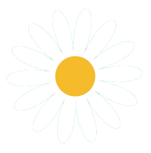 Daisy Flower vector PNG