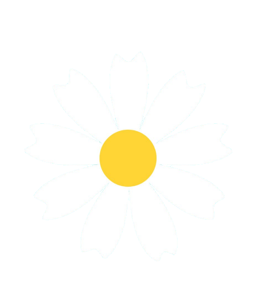 Daisy Flower Icon PNG