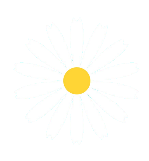 Daisy Sticker PNG