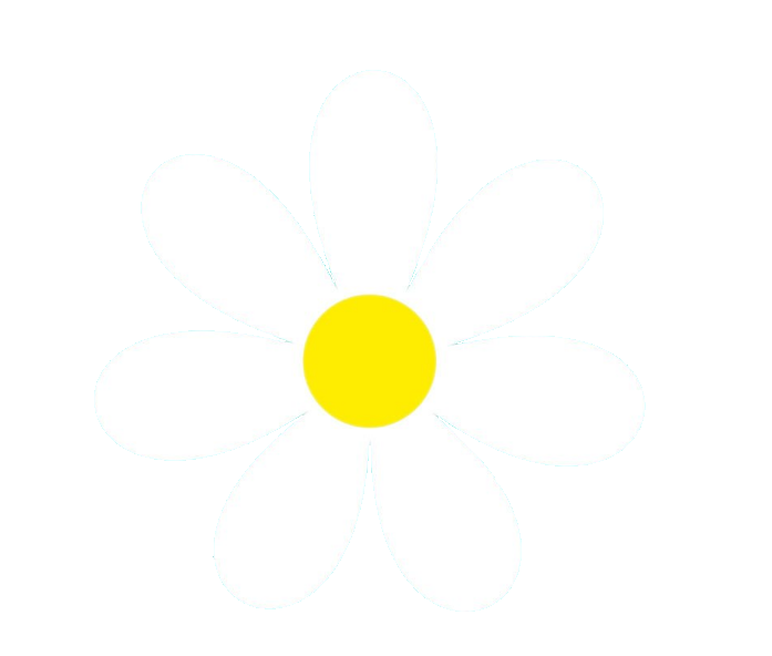 Cartoon Daisy PNG