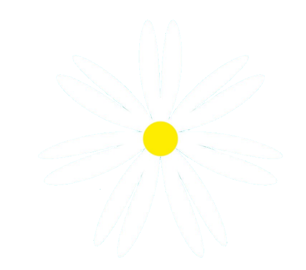 daisy-25