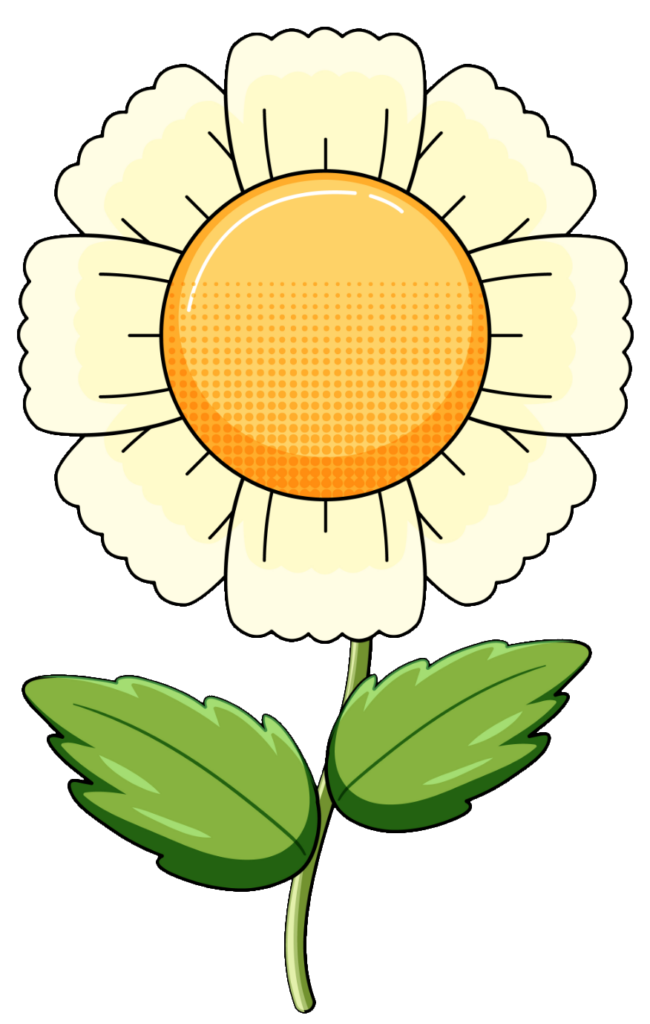 Daisy Flower Clipart PNG