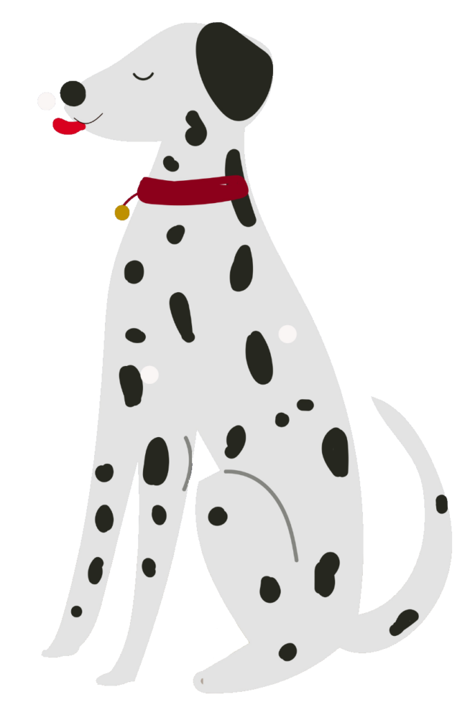 Dalmatian Dog Vector PNG