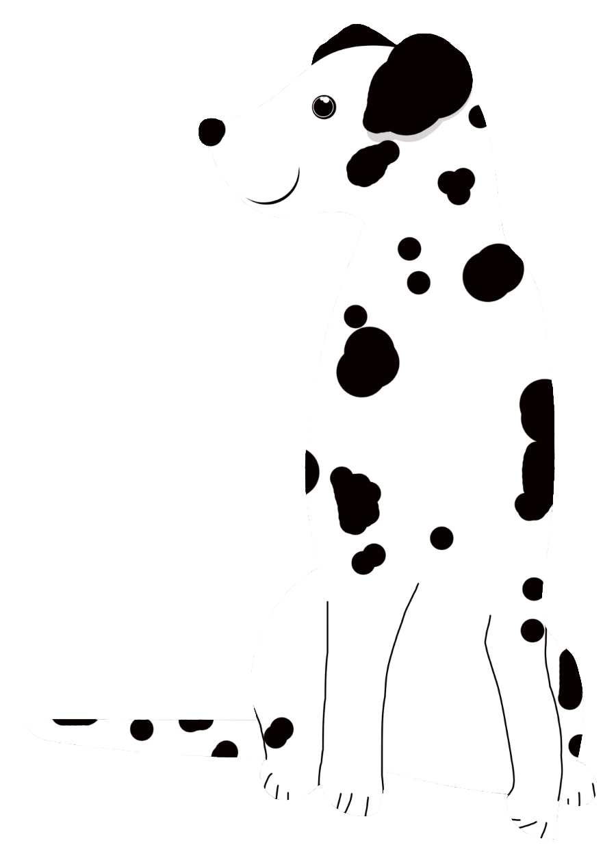 dalmatian-38