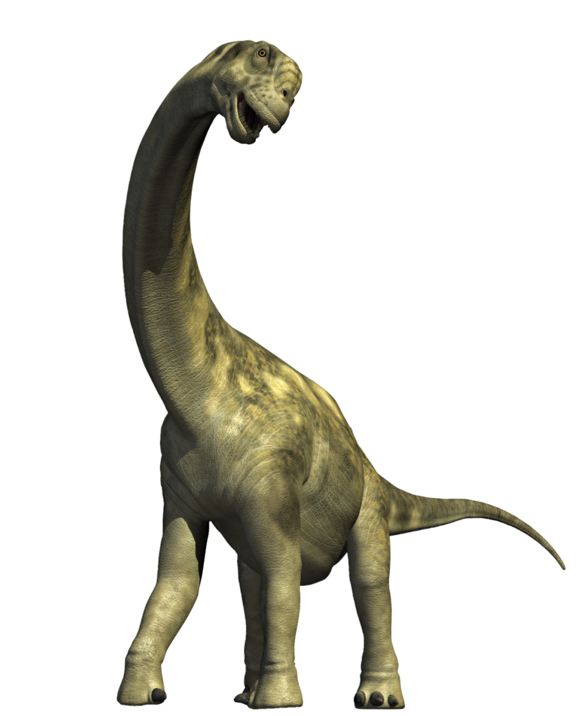 Brachiosaurus Dinosaur PNG