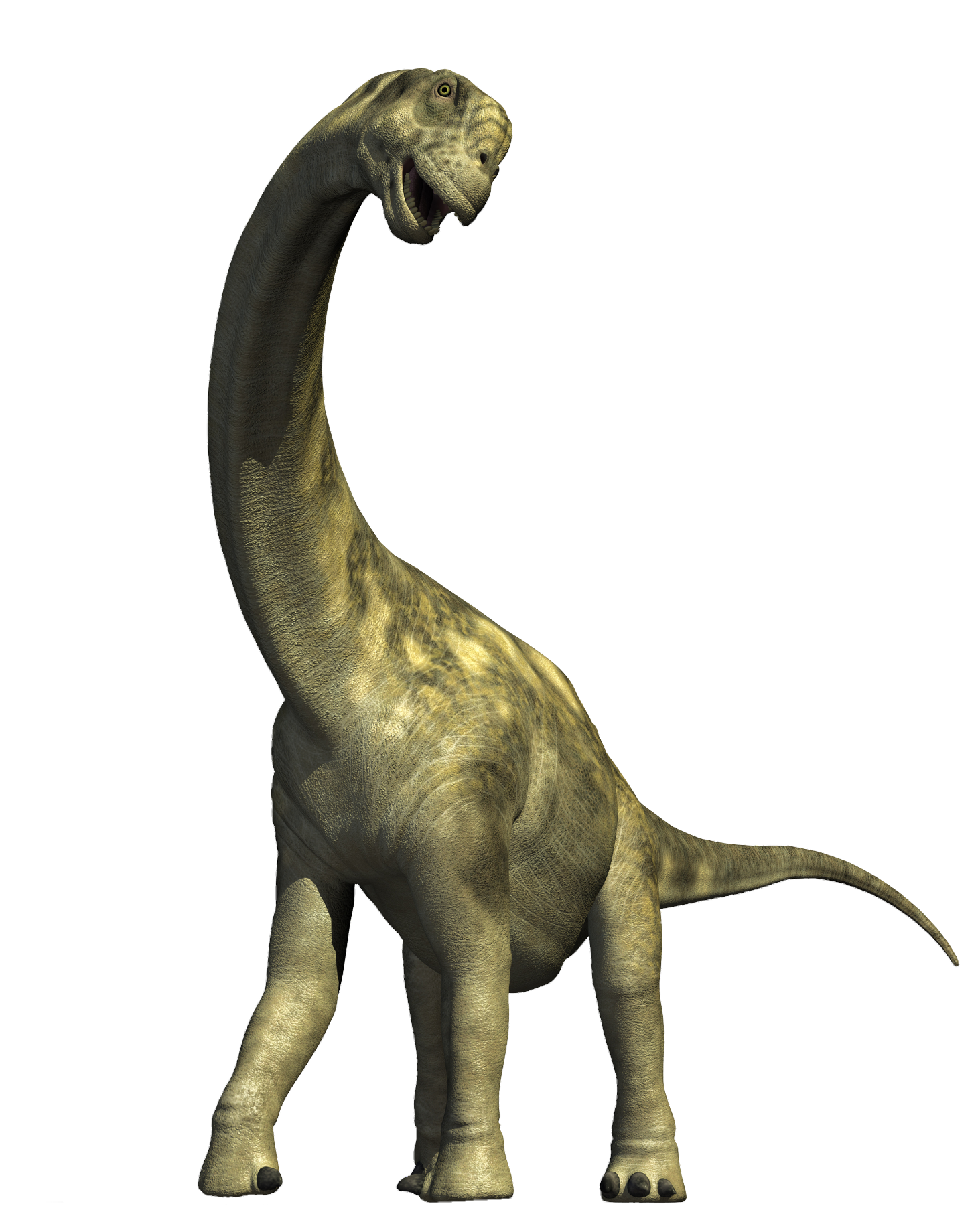 dinosaur-14-1