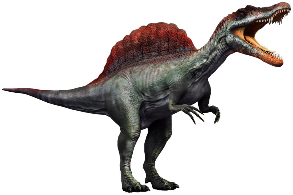 Spinosaurus Dinosaur PNG
