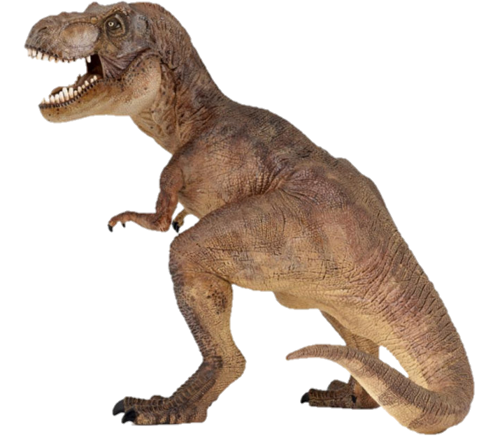 Velociraptor Dinosaur Png