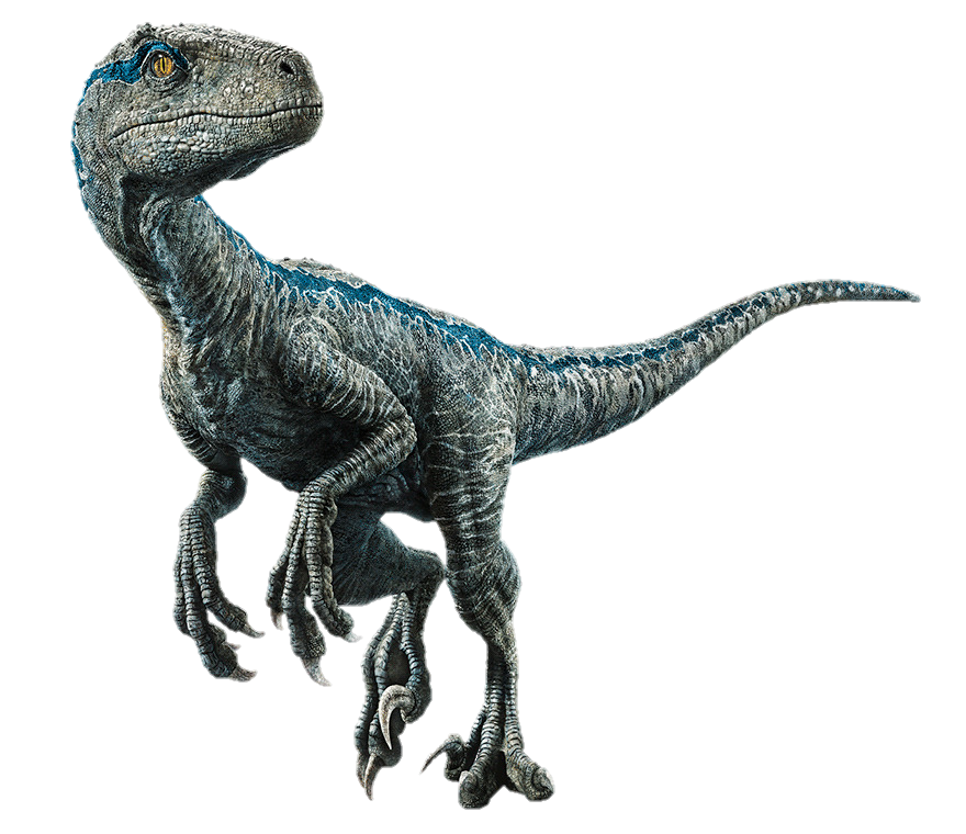 Velociraptor Dinosaur Png Image