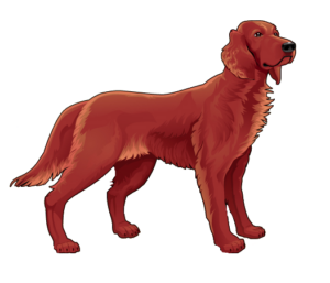 Animated Pet Dog Png