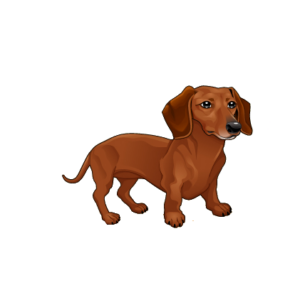 Small Dog clipart Png