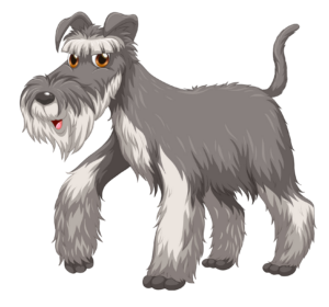 Hairy Pet Dog clipart Png