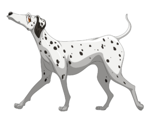 Dalmatian Dog walking clipart Png