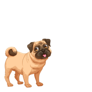 Pug Dog clipart Png