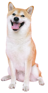 Funny Dog Png