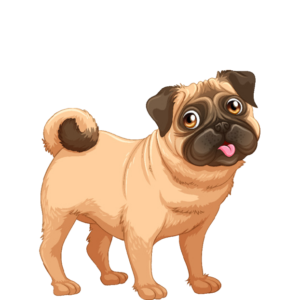 Pug Dog clipart Png