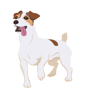 White Pet Dog Vector Png