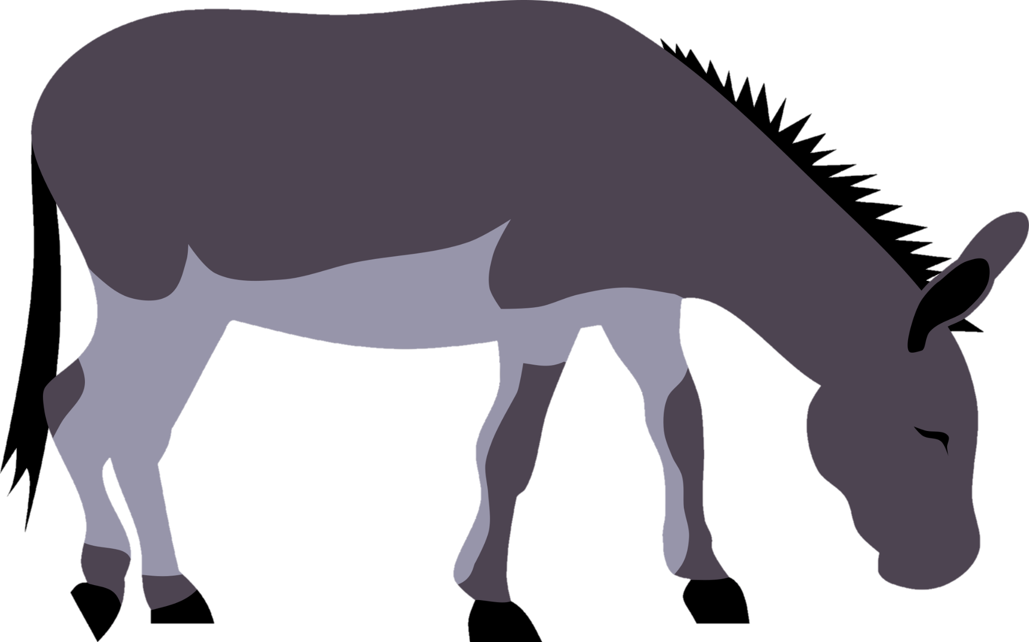donkey-10