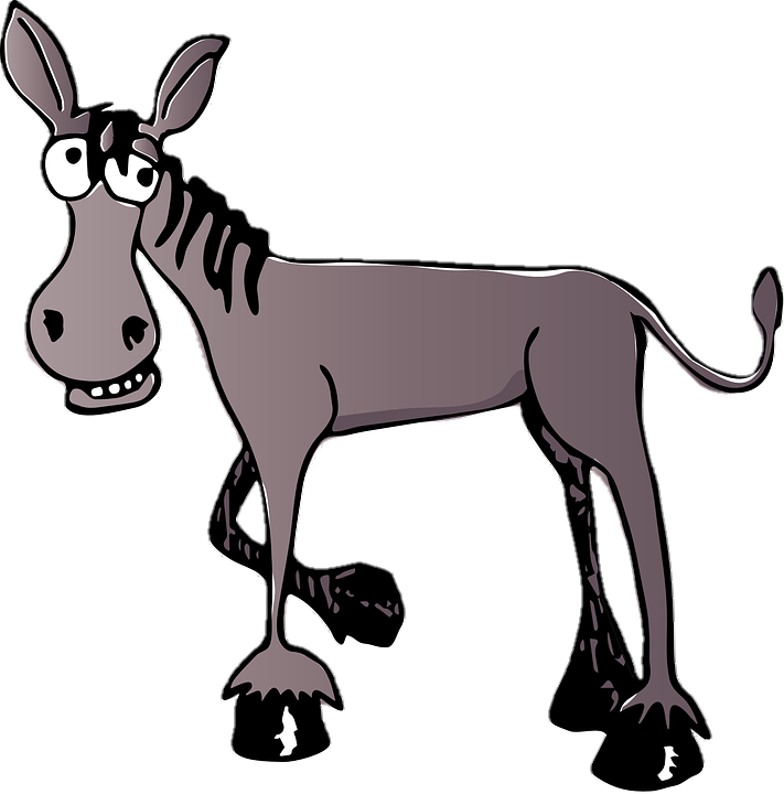 donkey-14