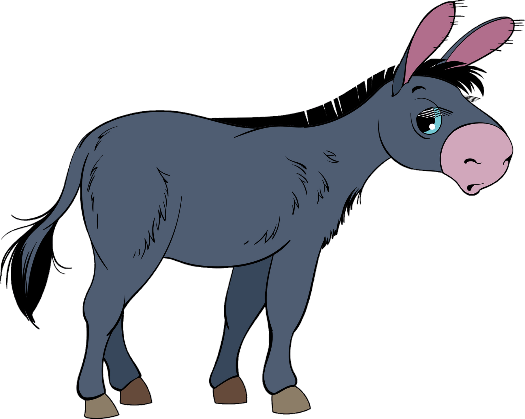 donkey-17