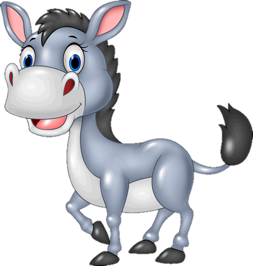 donkey-24