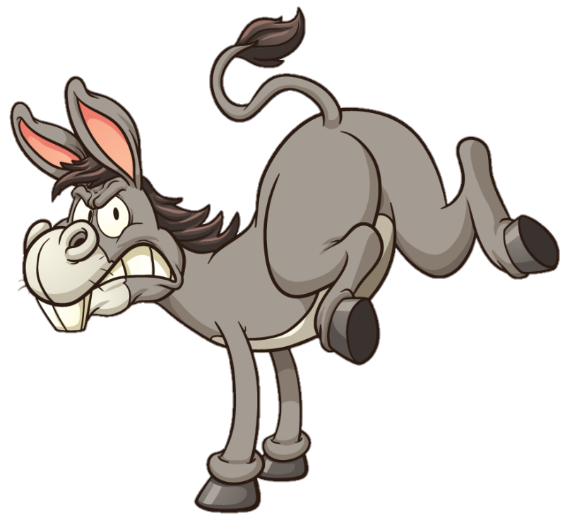 donkey-25