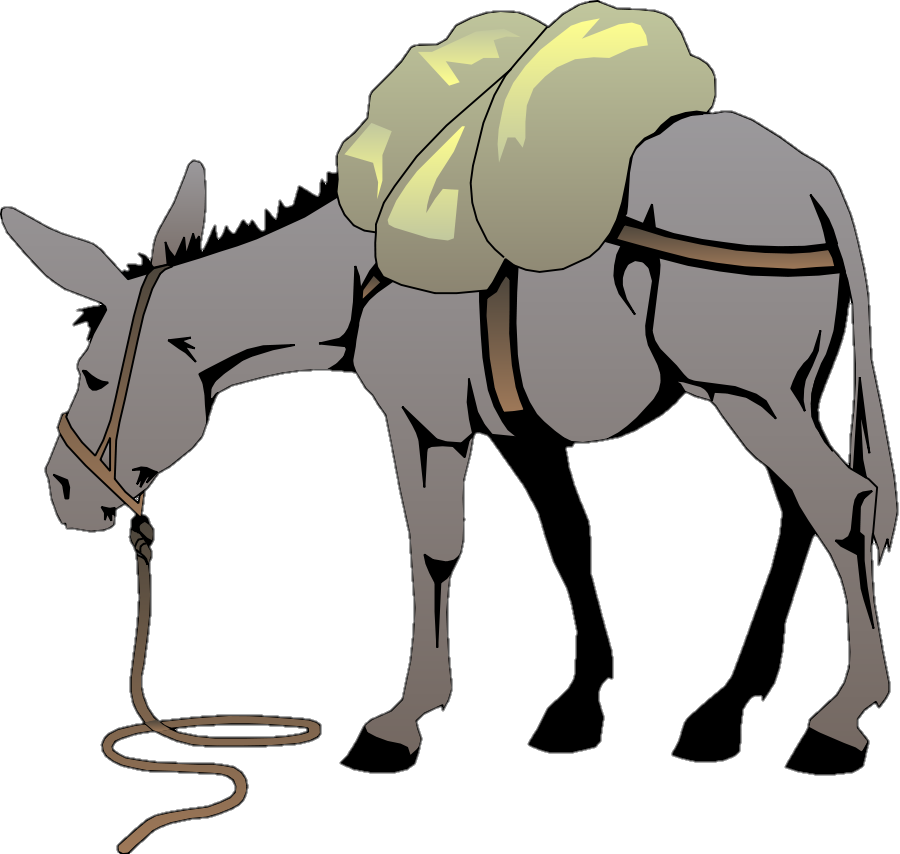 Animated Donkey png