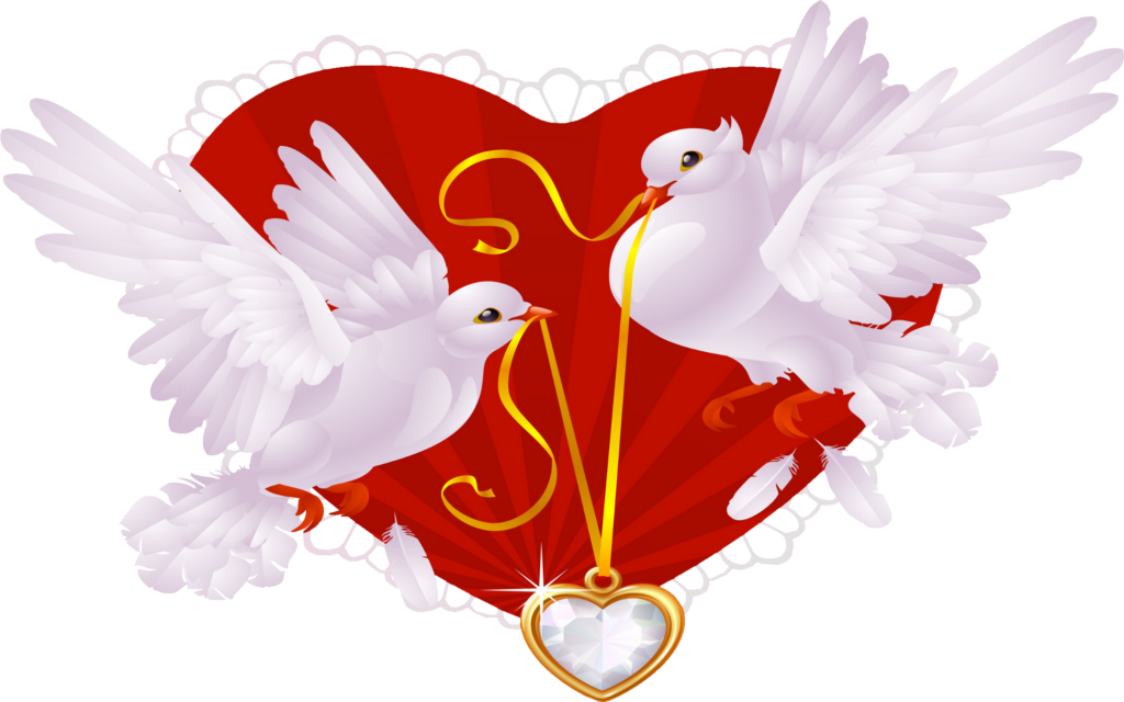 Dove Clipart PNG