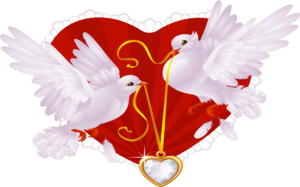 dove-1