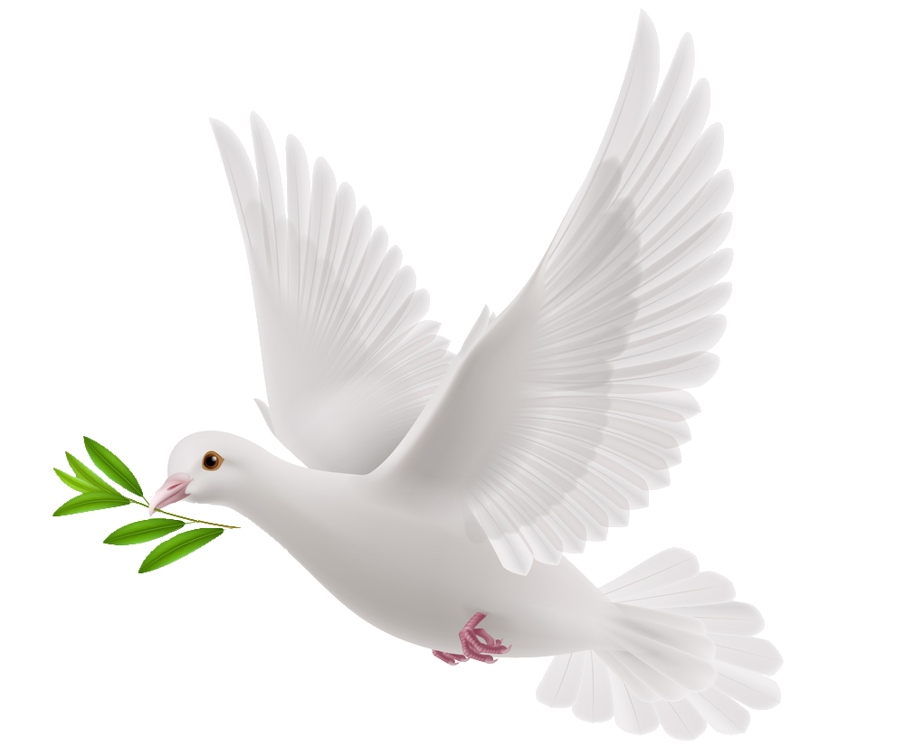 Animated Peace Dove PNG