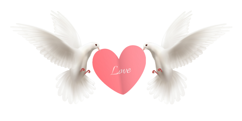 Love Dove PNG